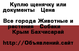 Куплю щенячку или документы › Цена ­ 3 000 - Все города Животные и растения » Собаки   . Крым,Бахчисарай